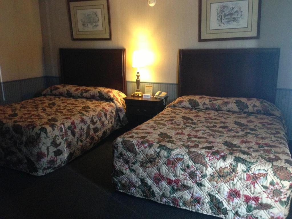 Cadet Motor Inn - Coldwater Kamer foto