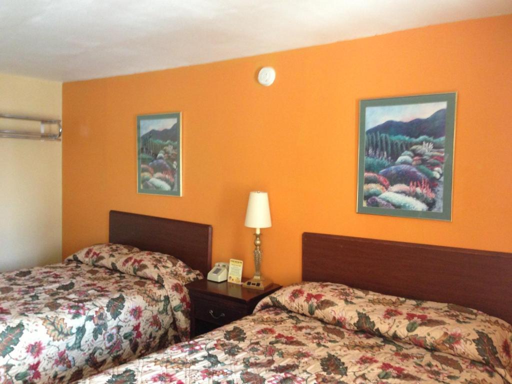 Cadet Motor Inn - Coldwater Kamer foto